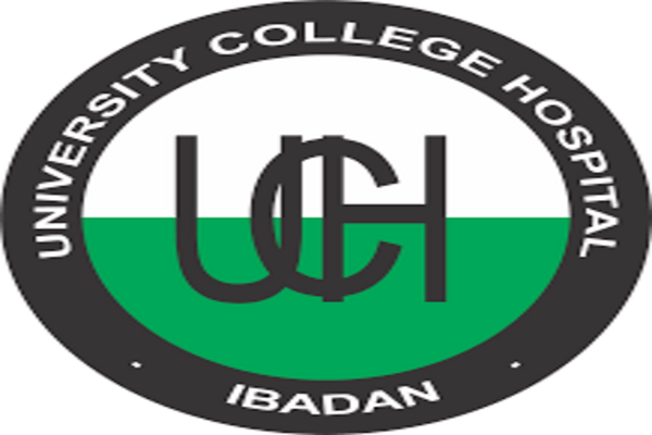 UCH Ibadan School of Nursing Form 2024/2025 Session [Results Released ...